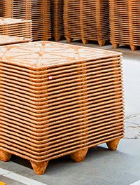 Ronsun Import & Export Co., Ltd.